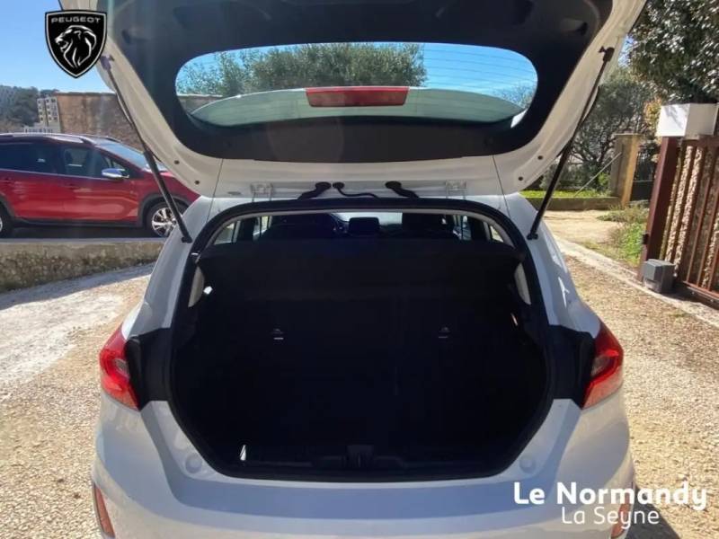 Ford Fiesta VI 1.0 EcoBoost 100 S&S Trend Auto 5P