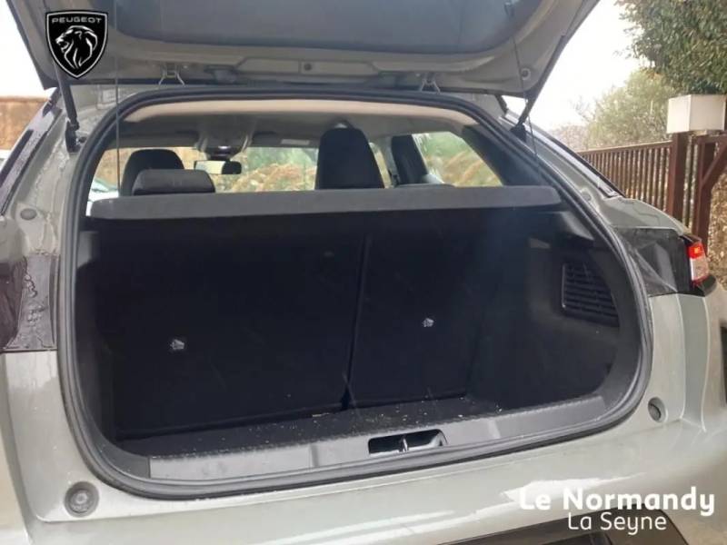 DS 3 Crossback 1.5 BlueHDi 130 Performance Line Automatique