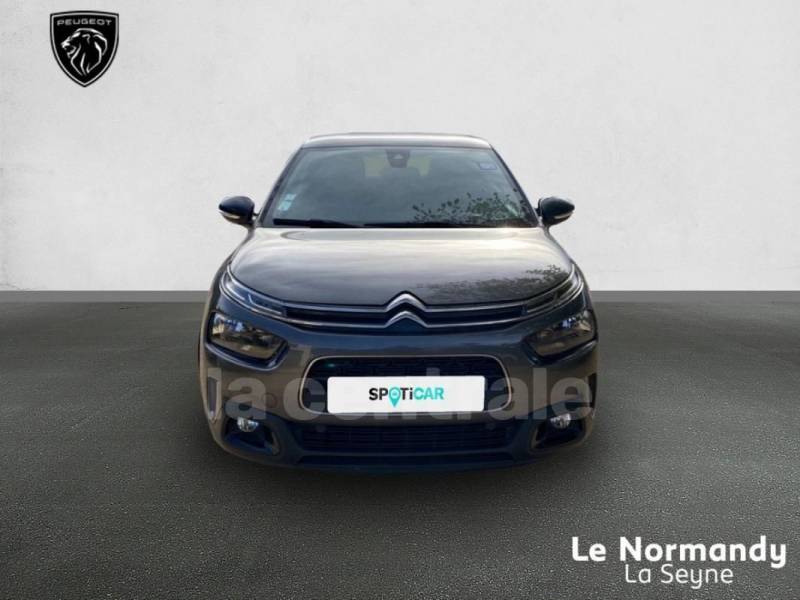 Citroën C4 Cactus (2) 1.2 PureTech 110 S&S Shine EAT6